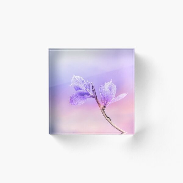 Charming Baby Leaves In Purple Acrylic Block