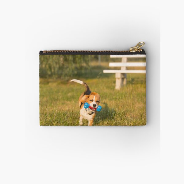 Item preview, Racing Roxie.... Beautiful Beagle... designed and sold by mitpjenkeating.