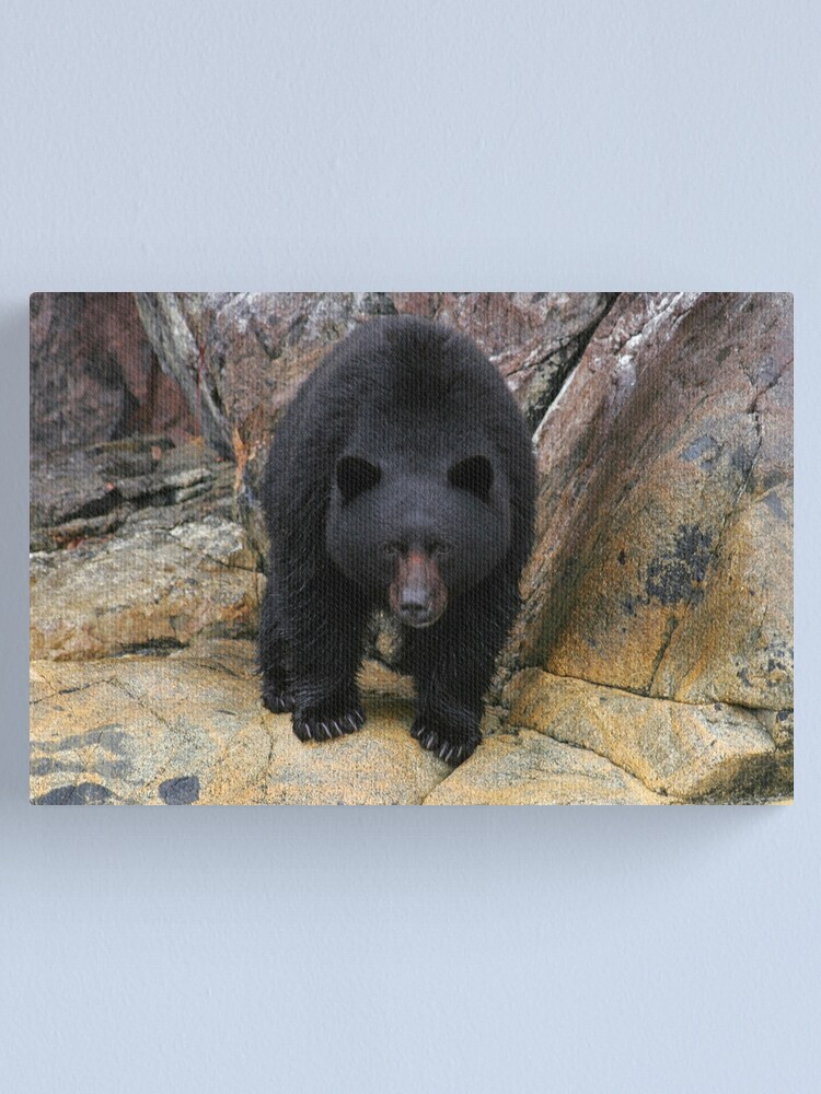Alternate view of Bear Rock Canvas Print