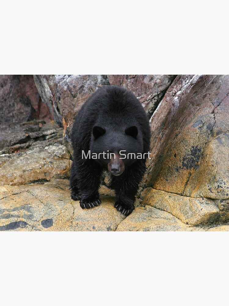 Bear Rock by MartinSmart
