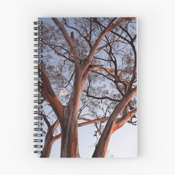 Item preview, Gum at Coolgardie Sunrise with Moon designed and sold by Leonie Mac Lean.