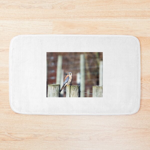 Item preview, Sparrowhawk... designed and sold by RichImage.