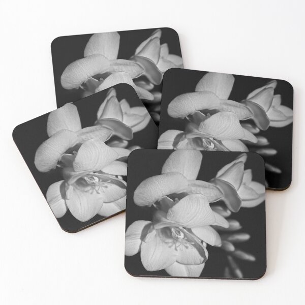 Item preview, Freesia in Mono designed and sold by Linda Bianic.
