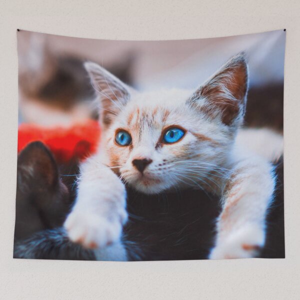 Item preview, Kitten Blue Eyed Adorable Cute Cat designed and sold by mwagie.