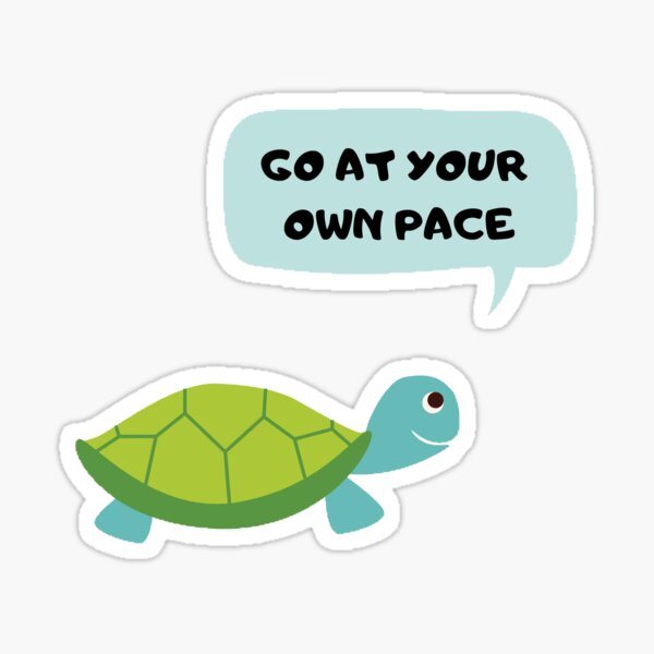Take your time turtle Sticker