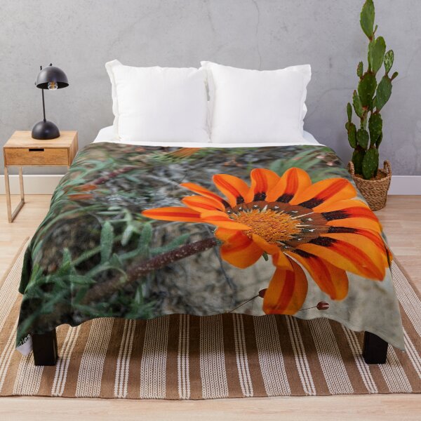 Item preview, Gazania heterochaeta - Botterblom - ASTERACEAE designed and sold by Magriet Meintjes.