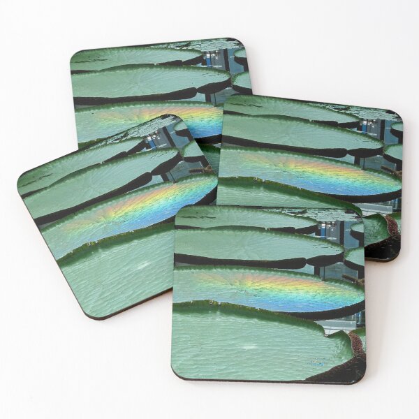 Item preview, A natural rainbow on an Amazon Waterlily Leaf. designed and sold by Cars around Adelaide.