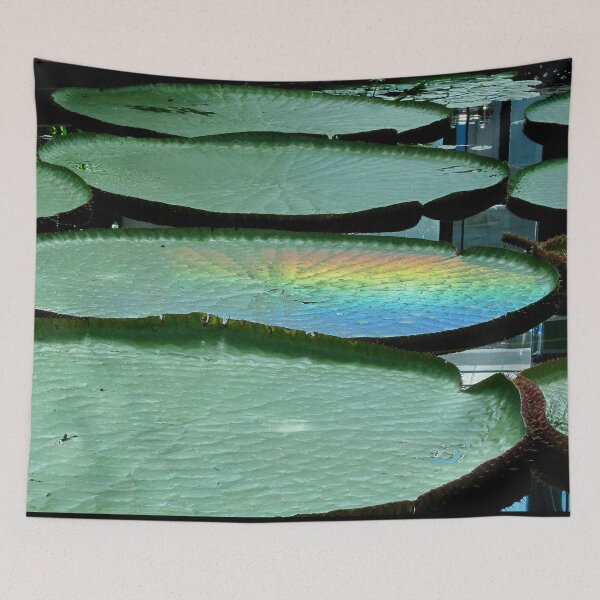 Item preview, A natural rainbow on an Amazon Waterlily Leaf. designed and sold by Cars around Adelaide.