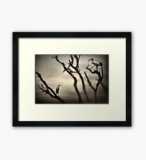 Morning Mist Framed Print