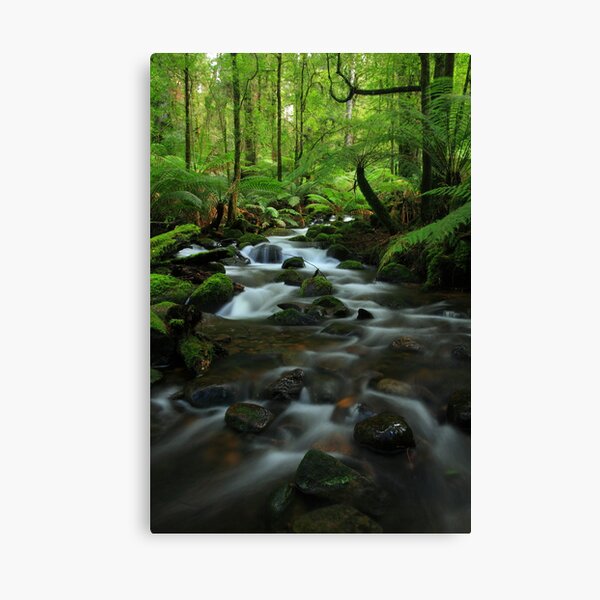 Item preview, The  Warburton Rainforest Gallery. designed and sold by Donovan Wilson.