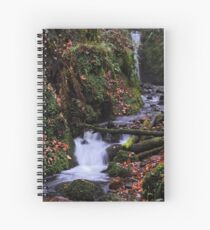 Dollar Glen Spiral Notebook