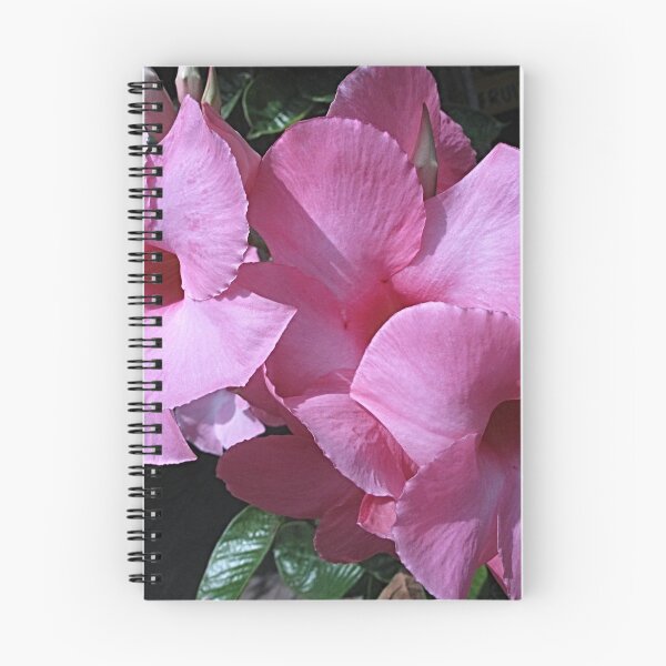 Item preview, Pink Pizzazz designed and sold by Monnie Ryan.