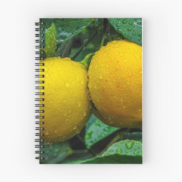 Item preview, Meyer Lemon designed and sold by DPalmer.