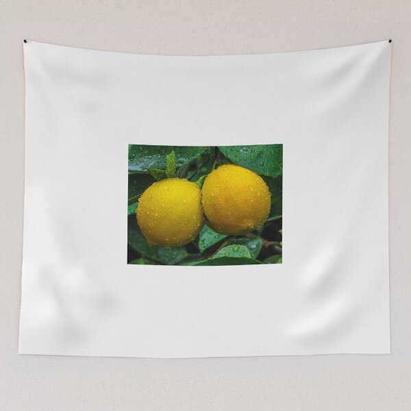 Item preview, Meyer Lemon designed and sold by DPalmer.