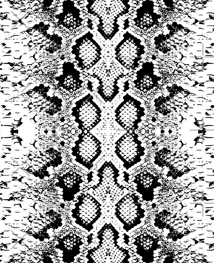 Abstract styled snake scales animal skin seamless Vector Image
