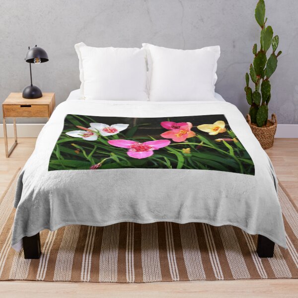 Item preview, Tigridia - Pavonia ... Tiger Flowers designed and sold by AnnDixon.