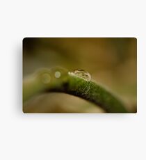 Just Like Raindrops Canvas Print