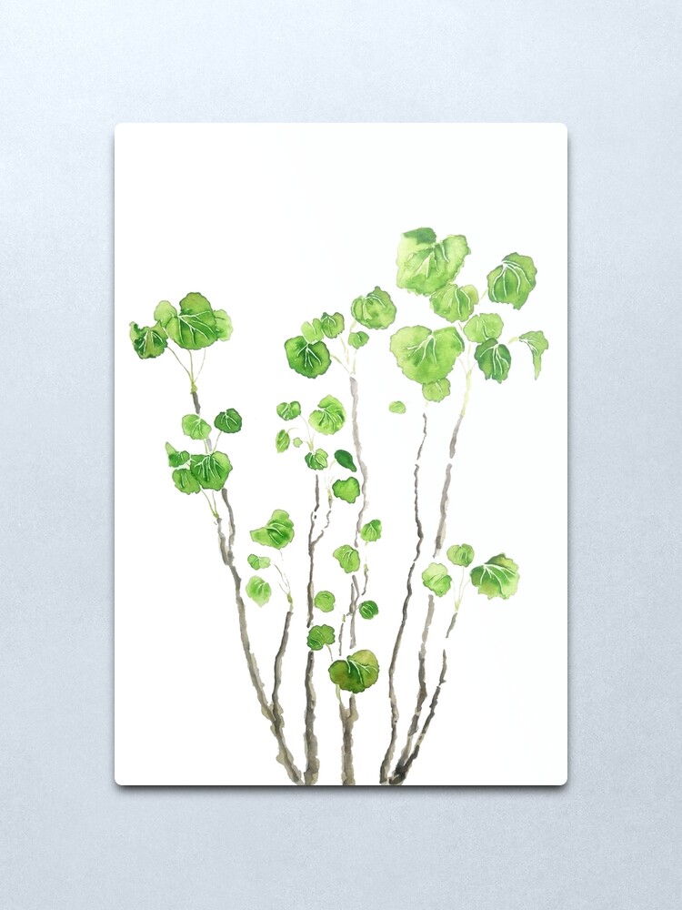 Alternate view of Green indoor plant watercolor Metal Print