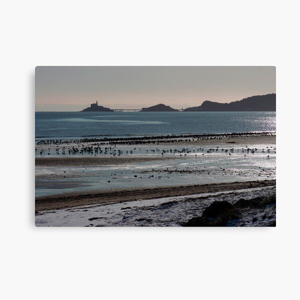 Sea Birds on Swansea Bay Canvas Print