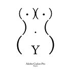 Body Type: Adobe Caslon Pro by Viktor Hertz