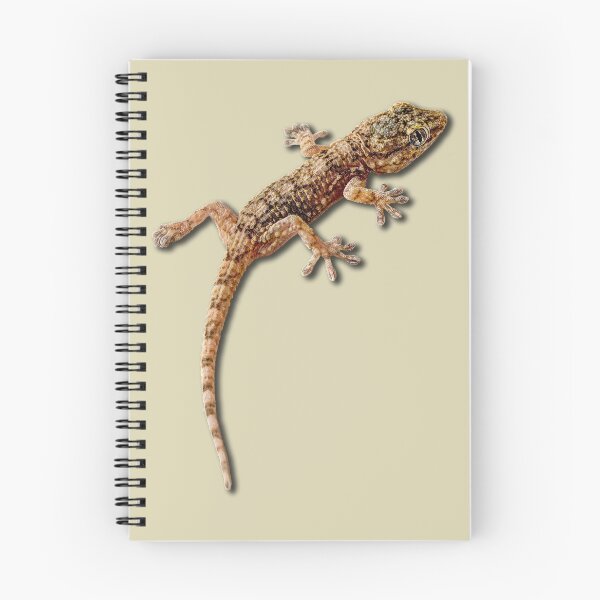 Item preview, Little Gekko designed and sold by Weston  Westmoreland.