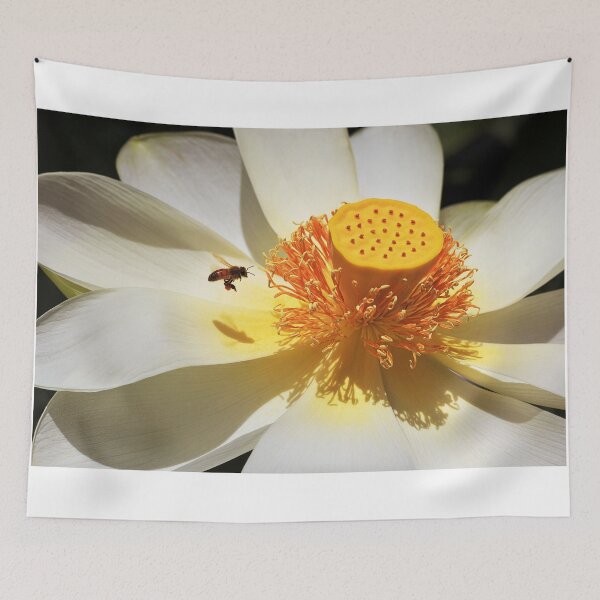 Item preview, 1923 Lotus and Bee designed and sold by Hans Kawitzki.