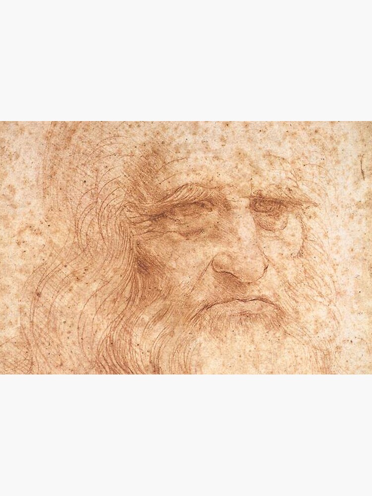 Classic Art - Leonardo da Vinci by Leonardo da Vinci Self Portrait by podartist