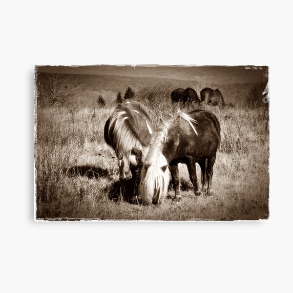 Lovers Canvas Print