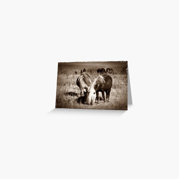 Lovers Greeting Card