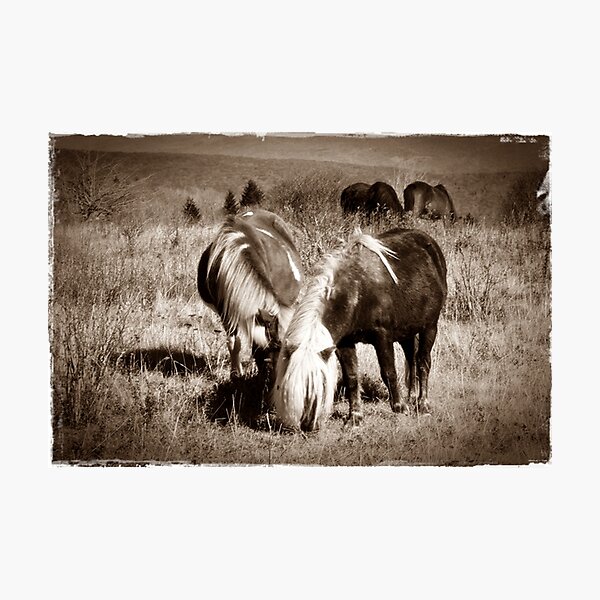 Lovers Photographic Print