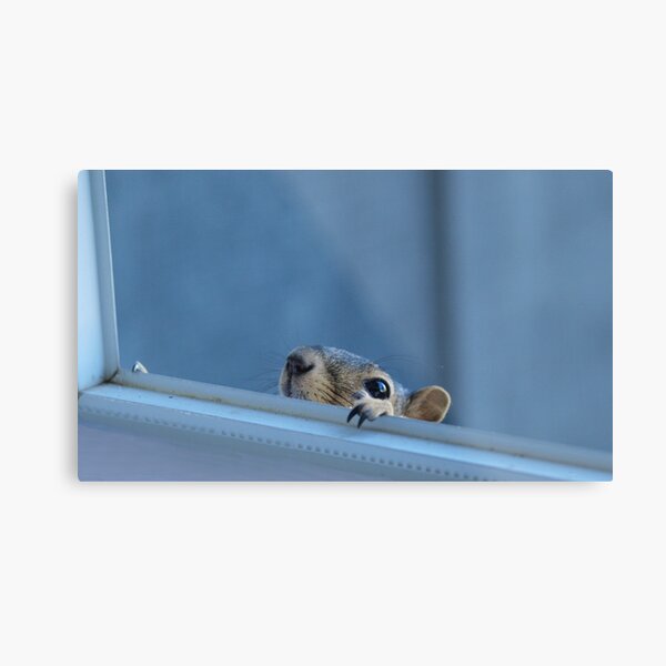 Things are Looking Up! Metal Print