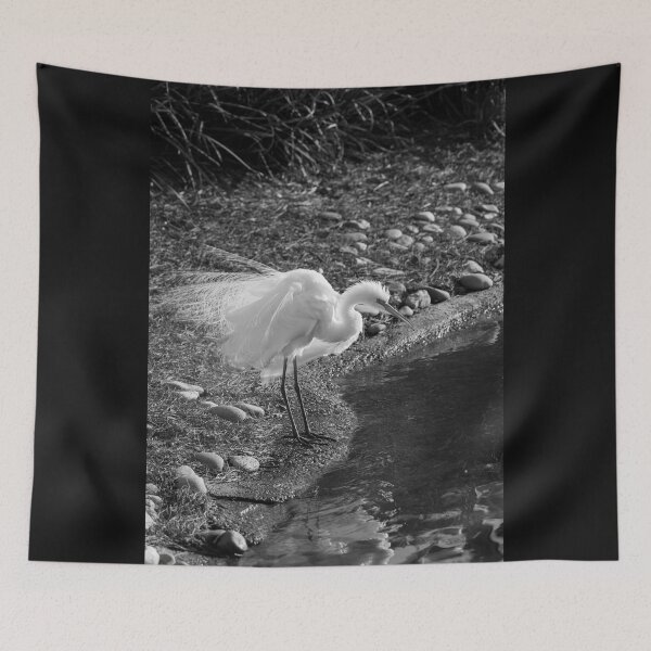 Item preview, Egret Fluff Grayscale designed and sold by mljdwhite.