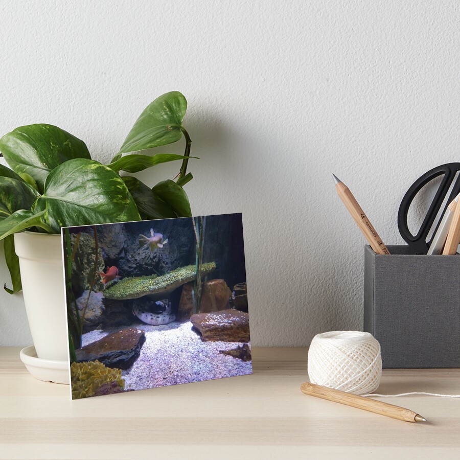 Item preview, Art Board Print designed and sold by JawsWasAShark.