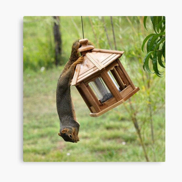 Upside-Down Canvas Print