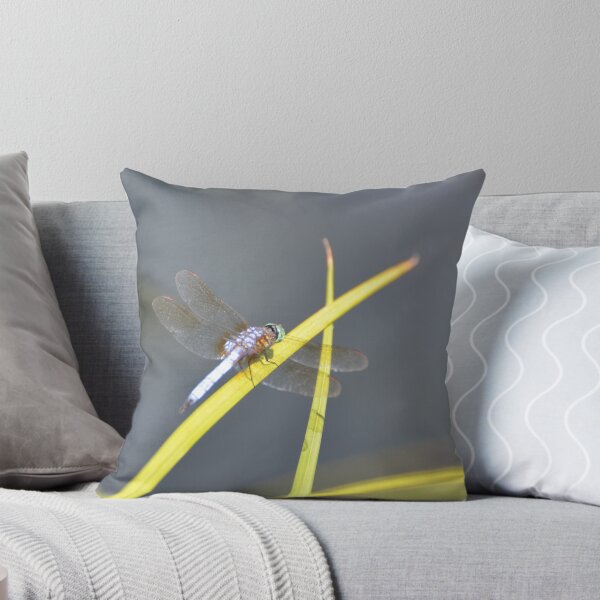 Aperçu de l'œuvre Dragonfly Resting créée et vendue par Kathleen Brant.