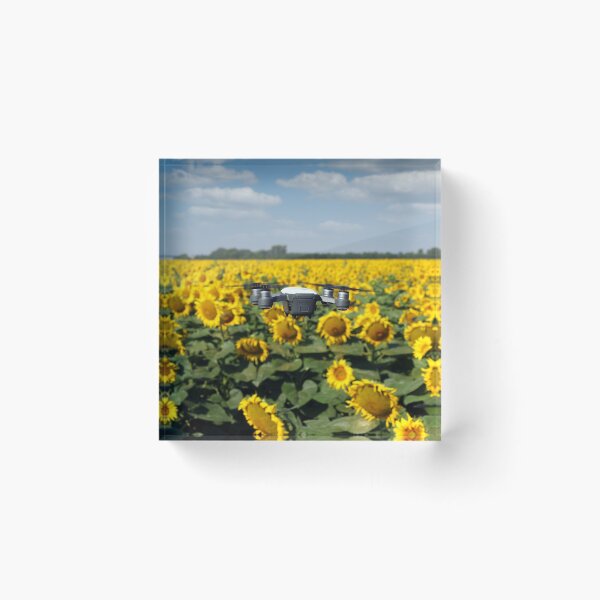 Item preview, The drone is flying over the sunflower field in summer designed and sold by goceris.