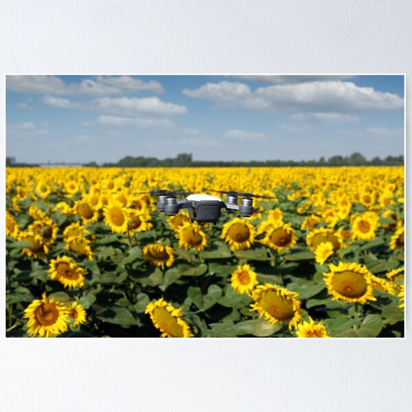 Item preview, The drone is flying over the sunflower field in summer designed and sold by goceris.