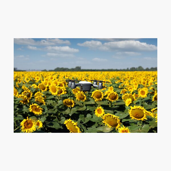 Item preview, The drone is flying over the sunflower field in summer designed and sold by goceris.