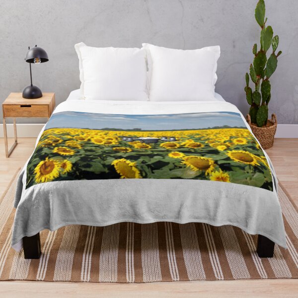 Item preview, The drone is flying over the sunflower field in summer designed and sold by goceris.