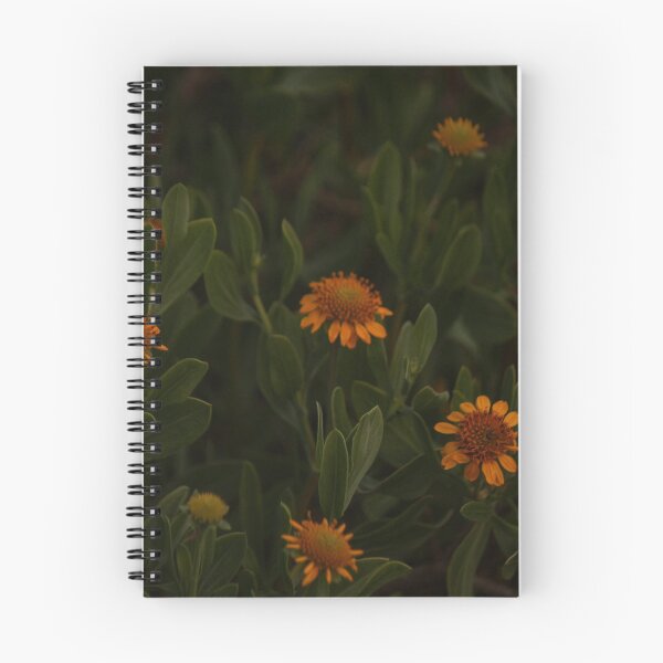 Item preview, Tansy Gathering designed and sold by Bob Hardy.