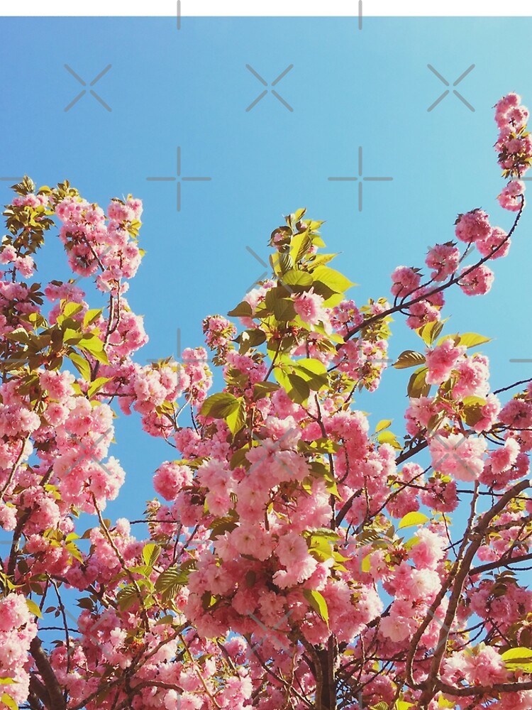 Floral Gift - Cherry Blossoms Photography - Gardener Present by OneDayArt