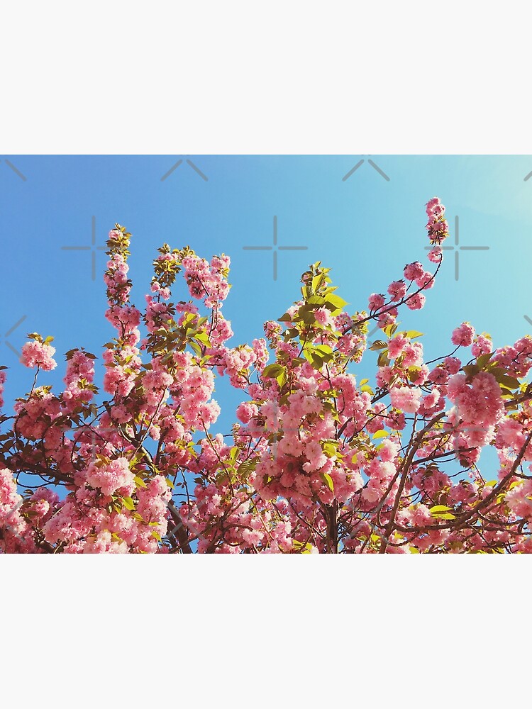 Floral Gift - Cherry Blossoms Photography - Gardener Present by OneDayArt