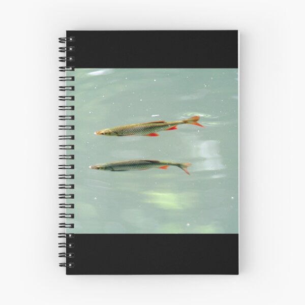 Item preview, Fish designed and sold by Calidris Fotografie Steffi & Ben Köppler.