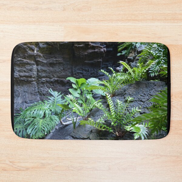 Item preview, Green ferns growing on lava designed and sold by Hilbert72.