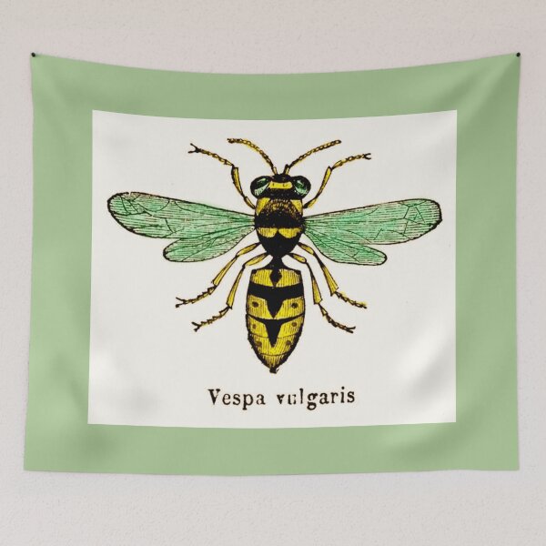 Item preview, The Wasp, Vespa Vulgaris designed and sold by VictorIos.
