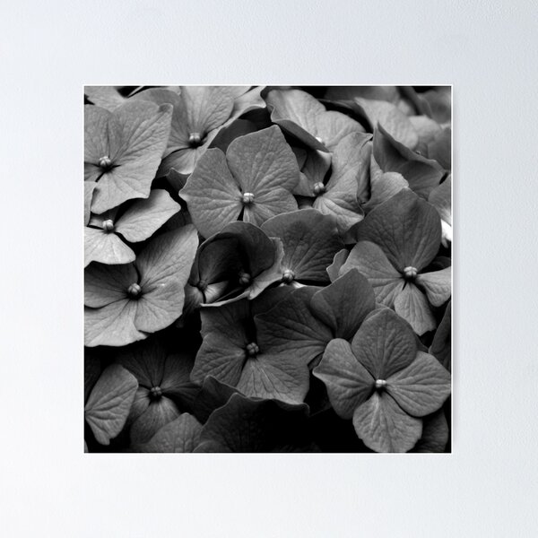 Item preview, Hydrangea designed and sold by RufderFreiheit.