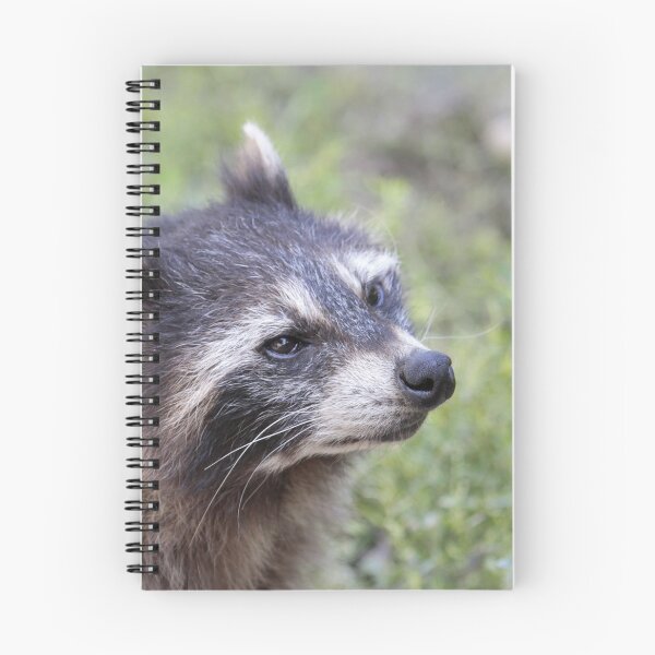 Item preview, Raccoon 519-1 designed and sold by Jamcolors.