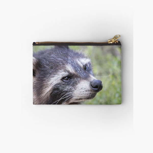 Item preview, Raccoon 519-1 designed and sold by Jamcolors.