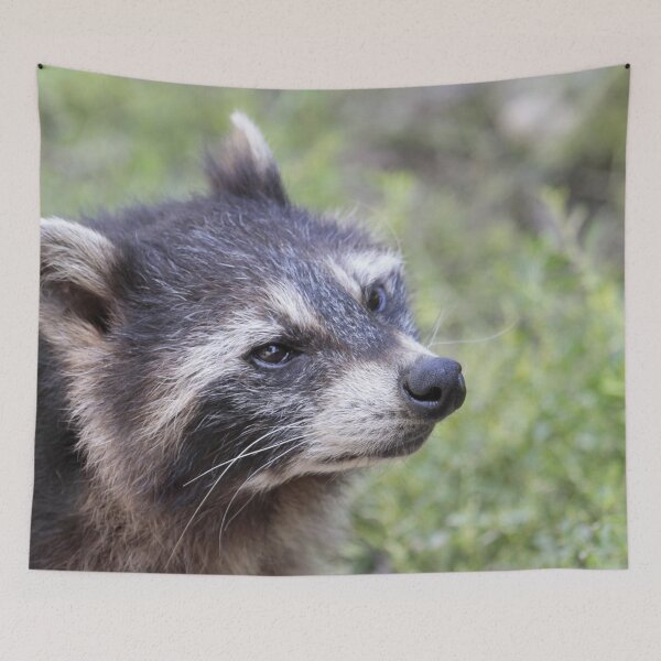 Item preview, Raccoon 519-1 designed and sold by Jamcolors.