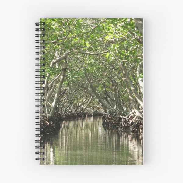 Item preview, Central America, Caribbean, Honduras, Island, Roatan, Tree, Mangrove, Photography, BebiCervin designed and sold by BebiCervin.
